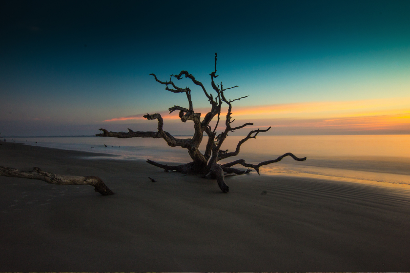  jekyll island best places to visit august photo by zach reiner