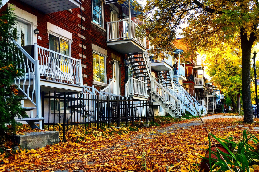 The Quebec fall colours in Montreal