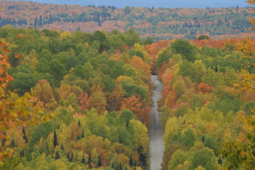 Fall in Quebec