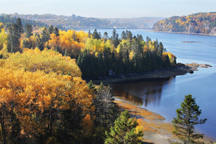 The beautiful and colourful trees in the fjord