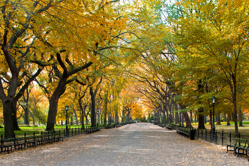 new york city best vacation spots thanksgiving