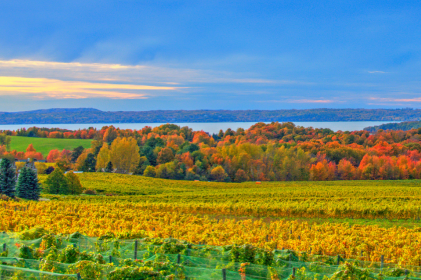 traverse city best vacation spots thanksgiving