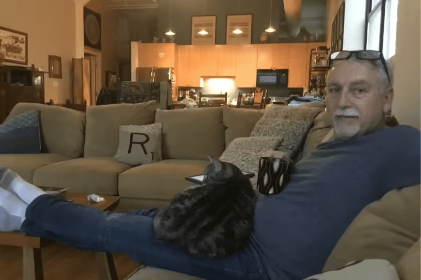 David with cat: What to do with your cat while on vacation