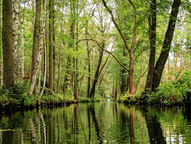 Spreewald: das grüne Venedig